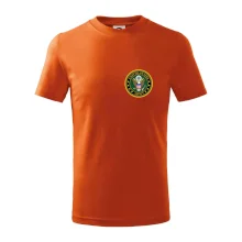 United States Army barevné