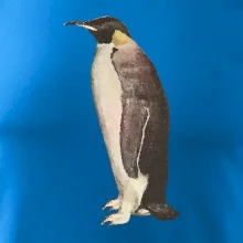 Tučňák kreslený vodovými barvami