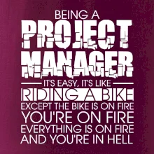 Being A Project Manager - bike