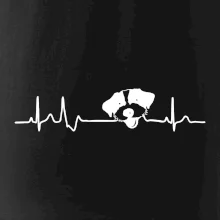 Jack Russell Terriér hrubosrstý Ekg