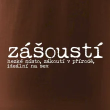 Čeština 2.0 - zášoustí