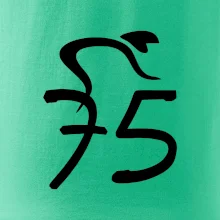 Cyklista slaví pětasedmdesátku (75)