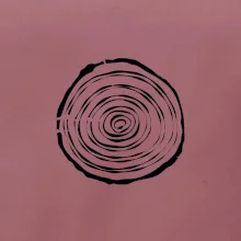 Letokruhy 10 bez věku