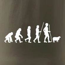 Evoluce pastevec ovcí