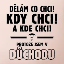 Dělám co chci, kdy chci důchod