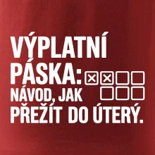 VÝPLATNÍ PÁSKA: Návod, jak přežít do úterý