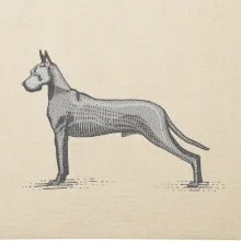 Vintage Great dane