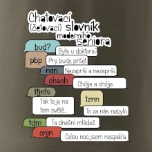 Chatovací slovník moderního seniora (Běžící češtinář)