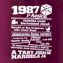 1987 v kostce