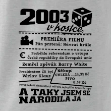 2003 v kostce