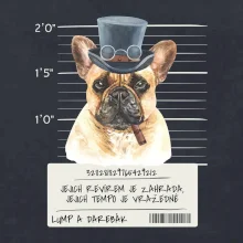 Lump a darebák francouzský buldoček