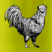 Kohout kreslený černobílý