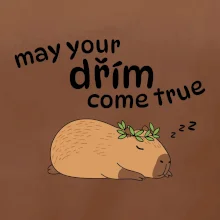 May your dřím come true