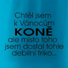 Chtěl jsem dostat k Vánocům koně