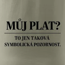 Můj plat? to jen taková symbolická pozornost