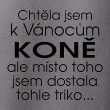 Chtěla jsem k Vánocům koně