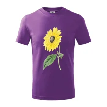 Slunečnice otočená