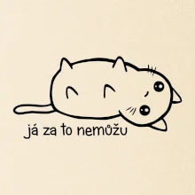 Já za to nemůžu