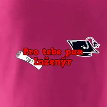 Pro tebe pan Inženýr