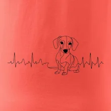 EKG křivka jezevčík