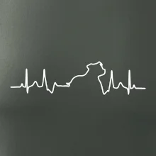 Stafordšírsky bulteriér EKG