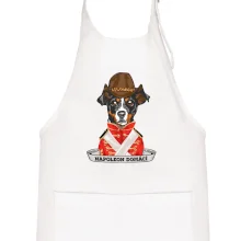 Napoleon domácí pes kříženec