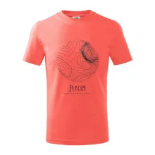 Plechý - vrstevnice v kruhu