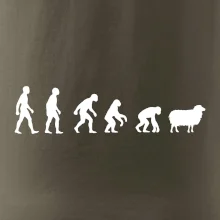 Evoluce ovce