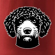 Lagotto romagnolo hlava na prsu