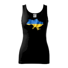 Ukrajina vlajka mapa