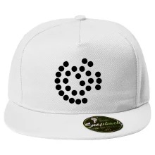 SpaceX Super Heavy Raptor 2