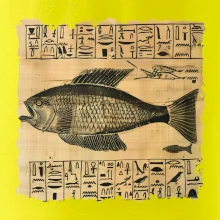 Egyptské hieroglyfy ryba