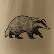 Zvířata Krkonoš – jezevec lesní