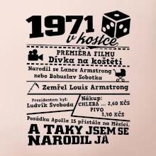 1971 v kostce