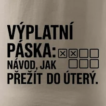 VÝPLATNÍ PÁSKA: Návod, jak přežít do úterý