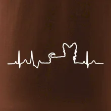 Jorkšírský teriér EKG