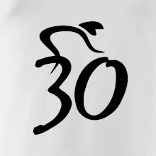 Cyklista slaví třicítku (30)