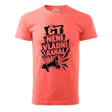 ČT není vládní kánál