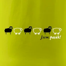 Jsem pasák - ovce v řadě