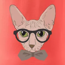 Hipster sphynx