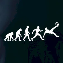 Evoluce nohejbalisty dokončena