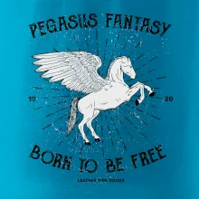 Pegasus fantasy