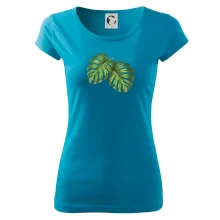 Monstera - dva listy