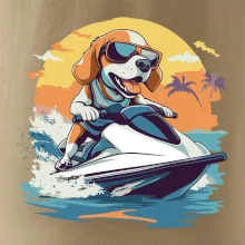 Bígl na vodním skútru