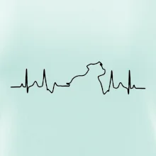 Stafordšírsky bulteriér EKG