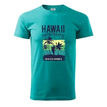 Hawaii Hawaii
