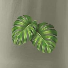 Monstera - dva listy