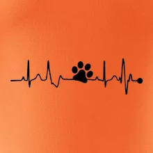 Ekg psí tlapka