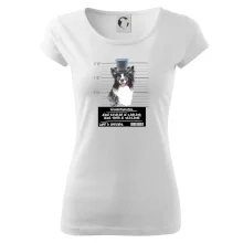 Lump a darebák border kolie