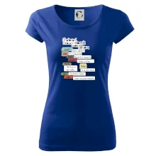 Chatovací slovník moderního seniora (Běžící češtinář)